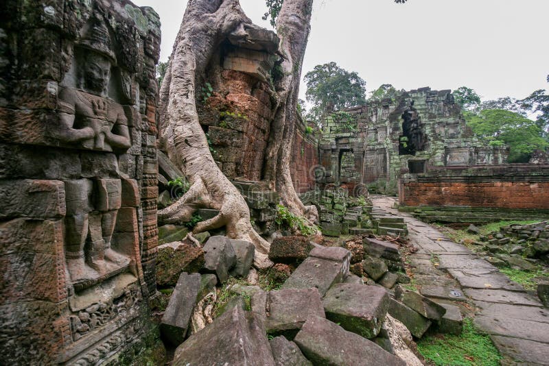 temple ruin angkor wat