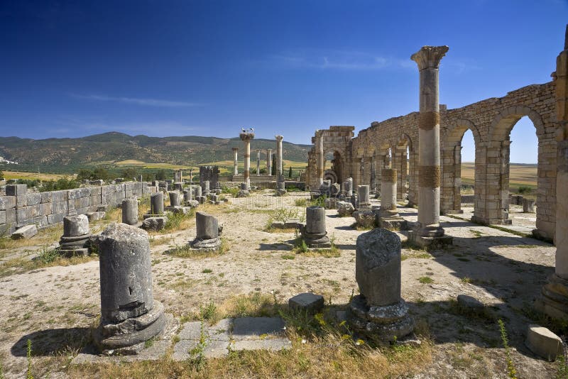 Ruins of Volubilis - the Basilica