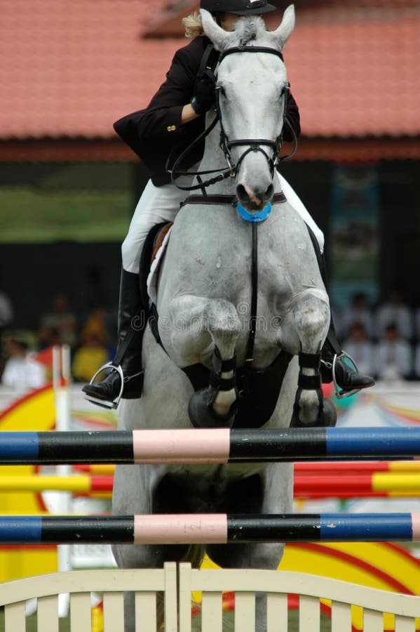 Equestrian sport. Equestrian sport