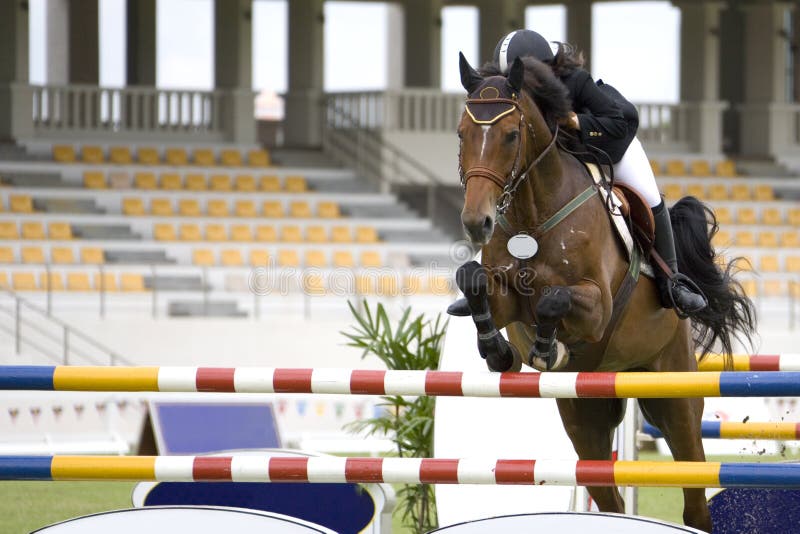 Image of an equestrian competitor in action. Image of an equestrian competitor in action.