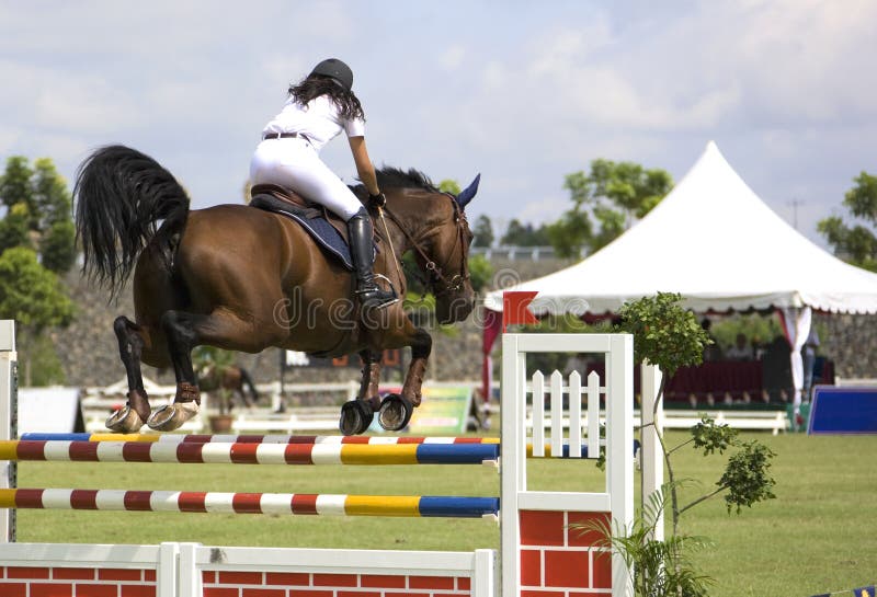 Image of an equestrian competitor in action. Image of an equestrian competitor in action.