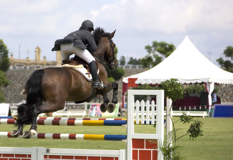 Image of an equestrian competitor in action. Image of an equestrian competitor in action.