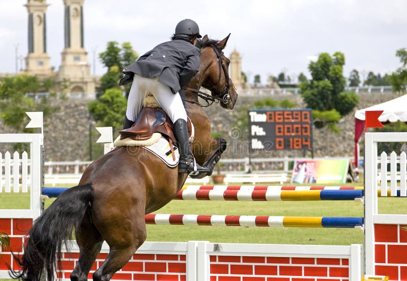 Image of an equestrian competitor in action. Image of an equestrian competitor in action.