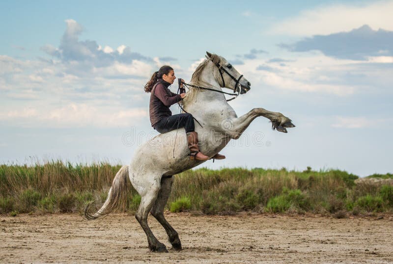 Ruiter op het Witte Camargue-paard royalty-vrije stock afbeeldingen Ruiter op het Witte Camargue-paard royalty-vrije stock afbeeldingen