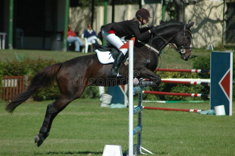 A female caucasian horse rider riding and jumping a hurdle with her beautiful brown sport horse at the riding school outdoors competing in an equestrian sport tournament. A female caucasian horse rider riding and jumping a hurdle with her beautiful brown sport horse at the riding school outdoors competing in an equestrian sport tournament