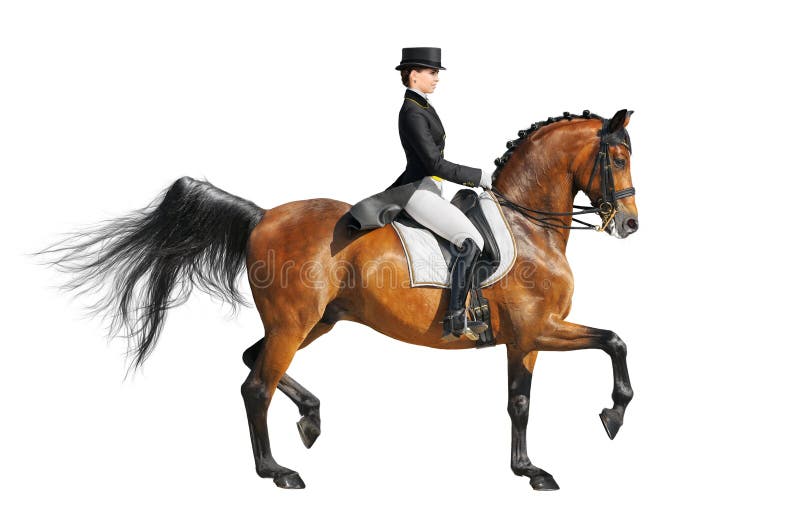 Equestrian sport - dressage (isolated on white). Equestrian sport - dressage (isolated on white)
