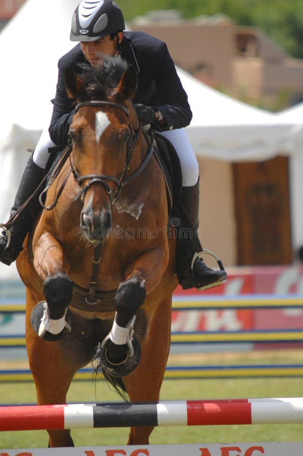 Vimeiro Equestrian Show Jumping - XV International Show Jumping (POR) 24-27Jul2008 Rider-Ricardo Batalha, POR ;Horse-Pomme dÂ´Abi vt Cauwenberg. Vimeiro Equestrian Show Jumping - XV International Show Jumping (POR) 24-27Jul2008 Rider-Ricardo Batalha, POR ;Horse-Pomme dÂ´Abi vt Cauwenberg