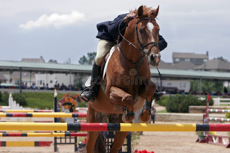 Horse & Rider showjumping in an equestrian event (shallow focus). Horse & Rider showjumping in an equestrian event (shallow focus).