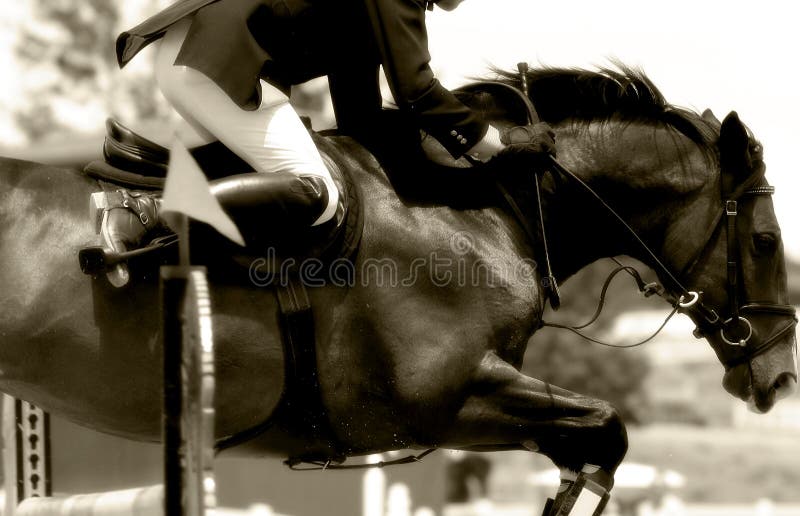 Tight close-up image of horse & rider clearing a jump in an equestrian showjumping event #2 (soft focus, sepia tone). Tight close-up image of horse & rider clearing a jump in an equestrian showjumping event #2 (soft focus, sepia tone).