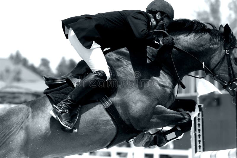 Tight close-up of a horse & rider showjumping in an equestrian event (shallow focus, high contrast black and white). Tight close-up of a horse & rider showjumping in an equestrian event (shallow focus, high contrast black and white).