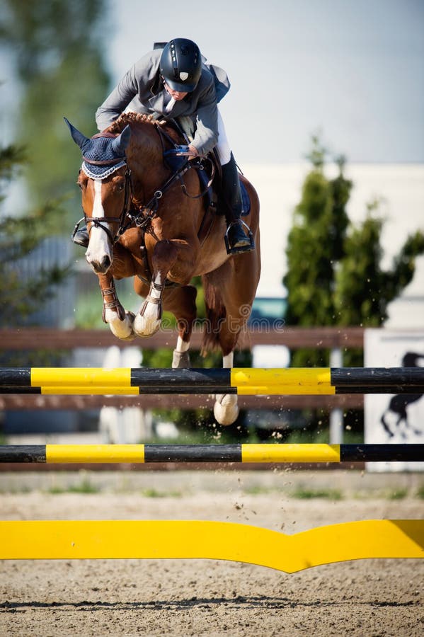 Horse Show Circuit 2015 EQUESTRIA. Equestrian Show Jumping. Romanian Jockey Club. Horse Show Circuit 2015 EQUESTRIA. Equestrian Show Jumping. Romanian Jockey Club.