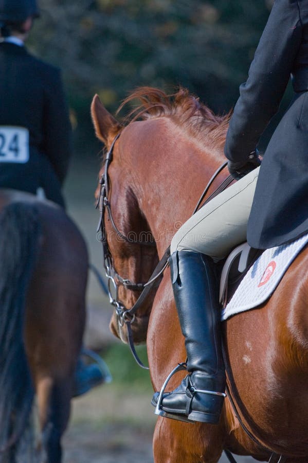 Rear view of two riders on horses at competitive equestrian event. Rear view of two riders on horses at competitive equestrian event.