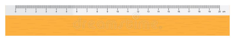 Ruler vector illustration