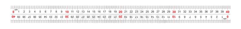 Ruler bidirectional double sided 400 millimeter, 40 centimeter. The division price is 1 mm. Calibration grid vector illustration
