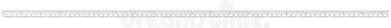 Ruler 200 centimeter. Ruler 80 inch. Double sided measurement tool in cm and inches. Calibration grid vector illustration