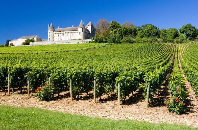 Zámok vinice, burgundské, francúzsko.