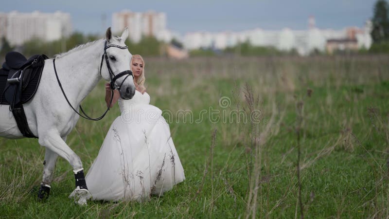 runaway bride is leading horse by bridle on field, romantic and freedom