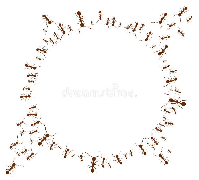 Rund ram med myror