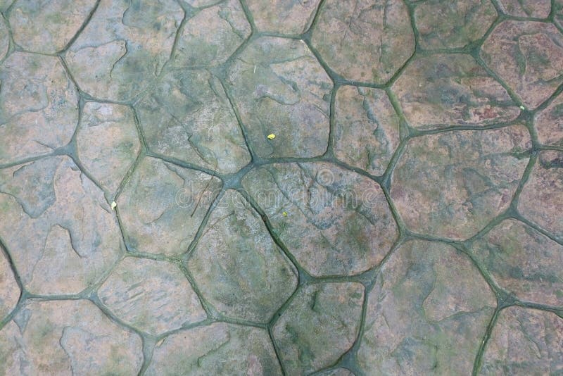 Rund sten med Moss Floor Texture Background UteplatsPaversCir arkivfoto Rund sten med Moss Floor Texture Background UteplatsPaversCir arkivfoto