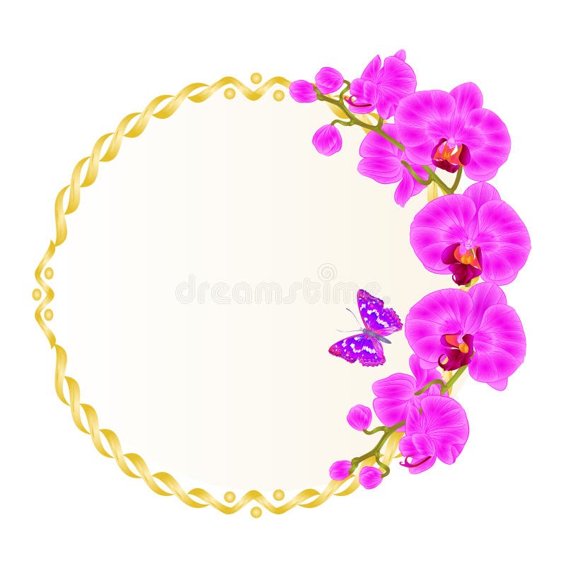 Runder goldener Rahmen des Blumenvektors mit Orchideenpurpur blüht tropische Anlagenphalaenopsis und nette kleine Schmetterlingsw lizenzfreie abbildung Runder goldener Rahmen des Blumenvektors mit Orchideenpurpur blüht tropische Anlagenphalaenopsis und nette kleine Schmetterlingsw lizenzfreie abbildung