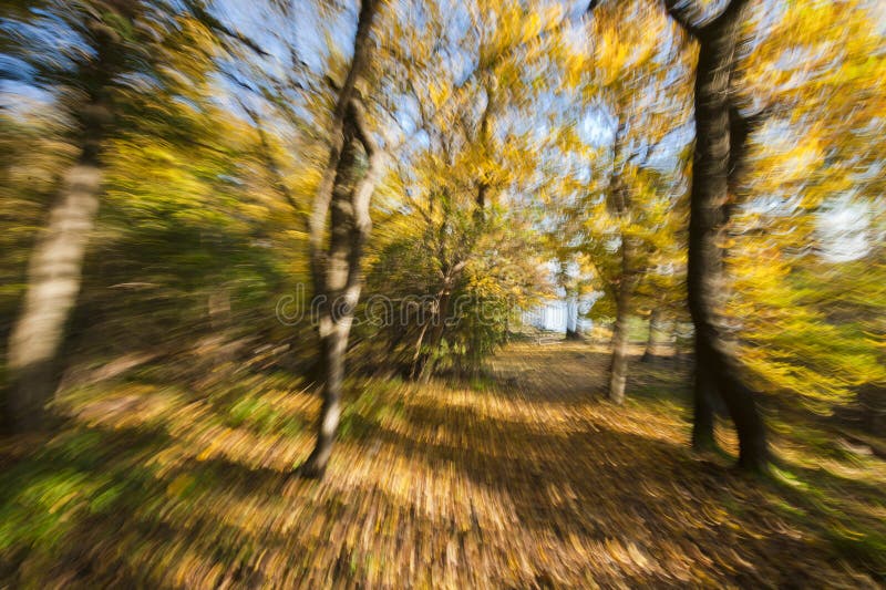 Runing In Autumn Wood With Zoom Effect Stock Photo Image Of Blurred