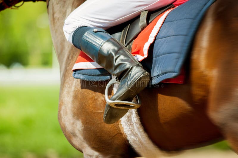 Runing thoroughbred race horse with jokey on it in sunny spring