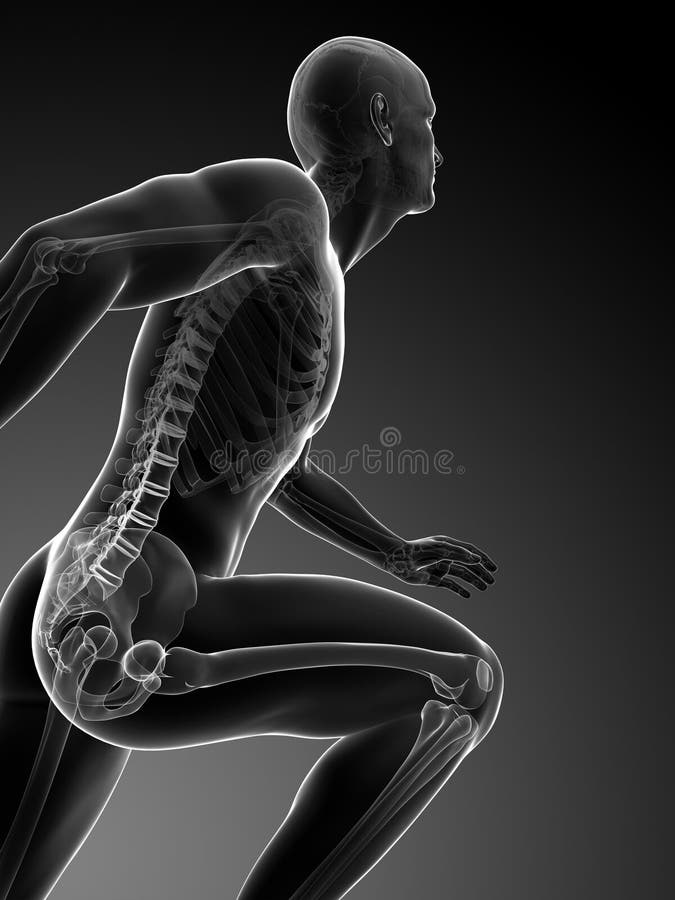 4+ Anatomy runner Free Stock Photos StockFreeImages