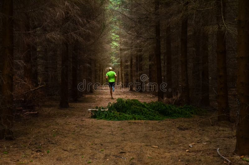 Runner Athlete Running Forest Trail, Green Nature All Around Stock