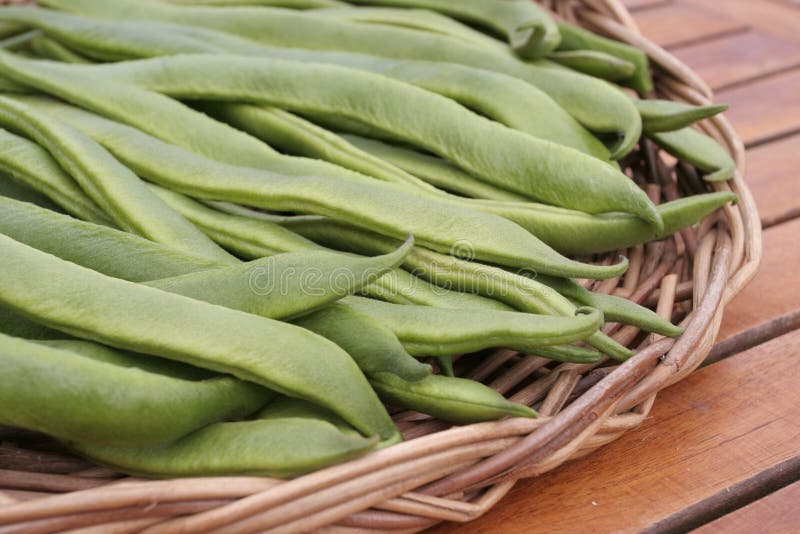 Runner beans stock photo. Image of nutrition, green, vegetable 14963278