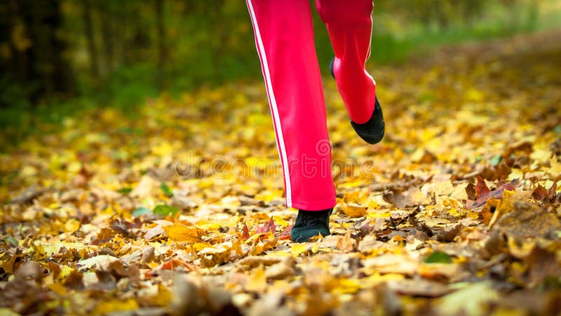 Runner legs and running shoes. Sporty woman jogging walking outdoors in autumn park on forest path, fall colors golden leaves. Runner legs and running shoes. Sporty woman jogging walking outdoors in autumn park on forest path, fall colors golden leaves