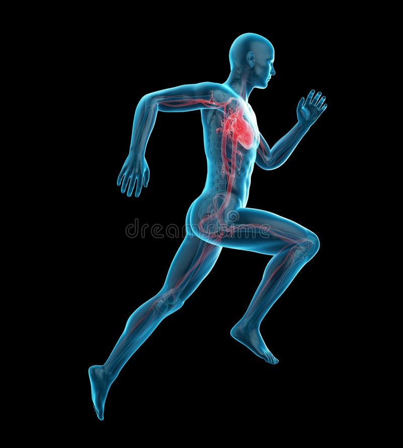 A runnerÂ´s heart stock illustration. Illustration of running 74820389