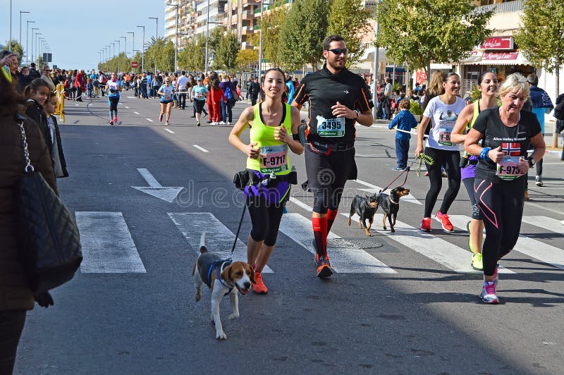 Runners With Dogs editorial stock photo. Image of cover 49132168