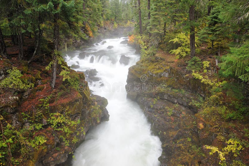 Running creek in Rogue Gorge