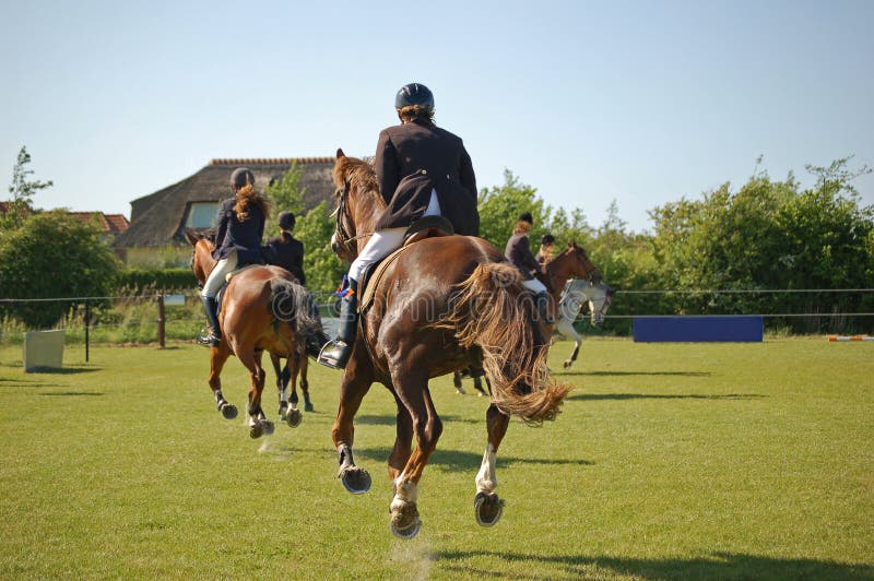 Running galloping horses during a competition. Running galloping horses during a competition