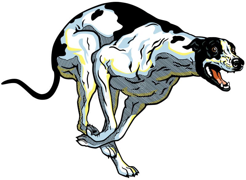 Download Greyhound Stock Illustrations - 1,718 Greyhound Stock ...