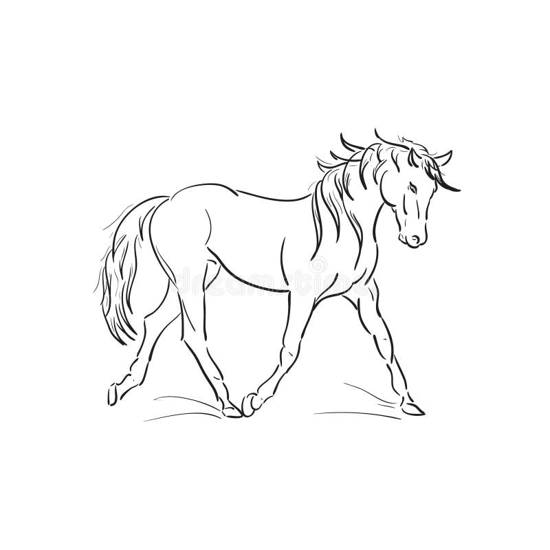Running Horse Vector Outline Stock Vector - Illustration of hoofed
