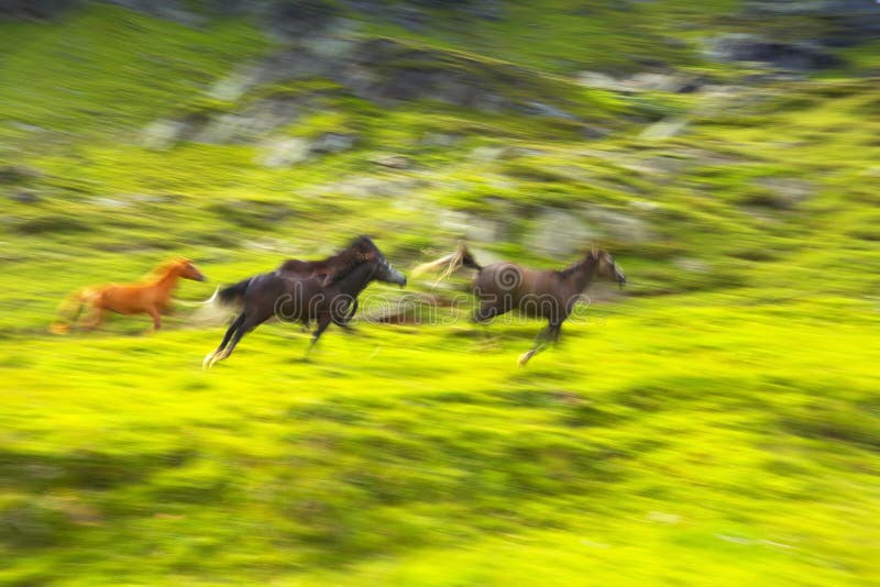 Running Horses