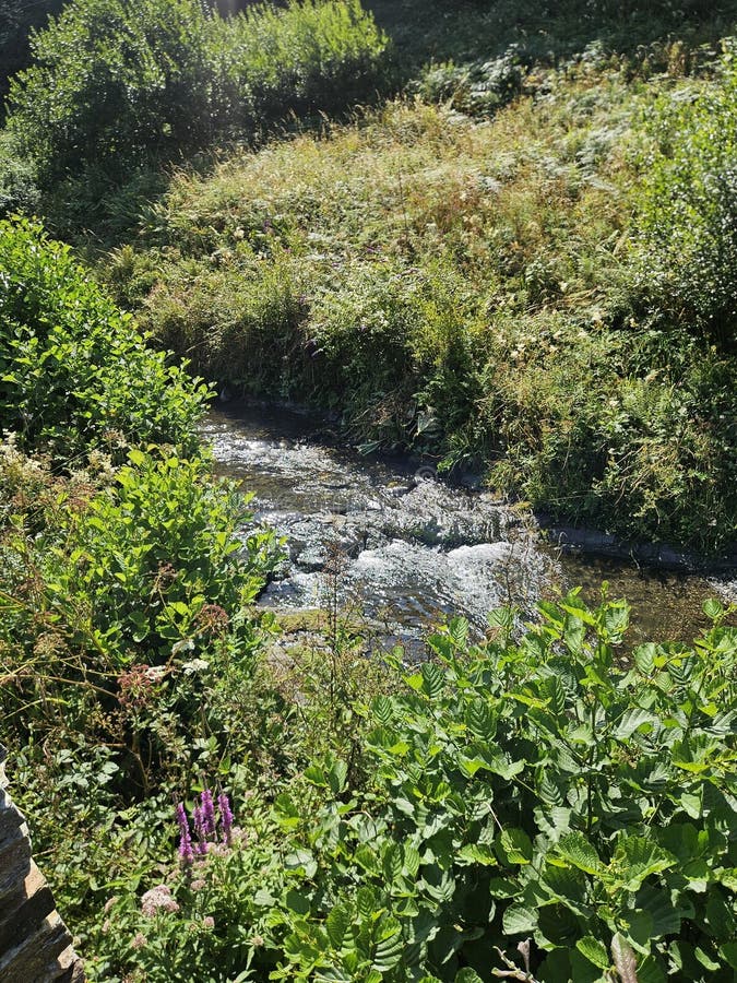 Running river with beautiful surroundings royalty free stock images