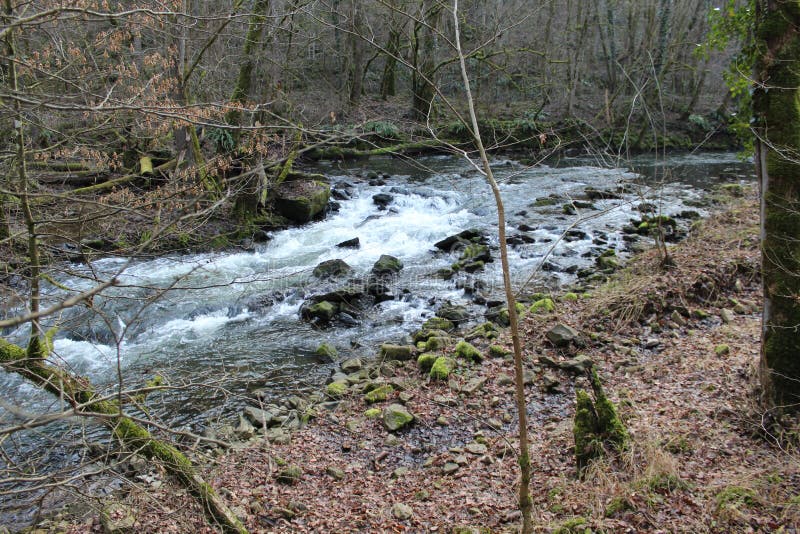 Running river stock photography