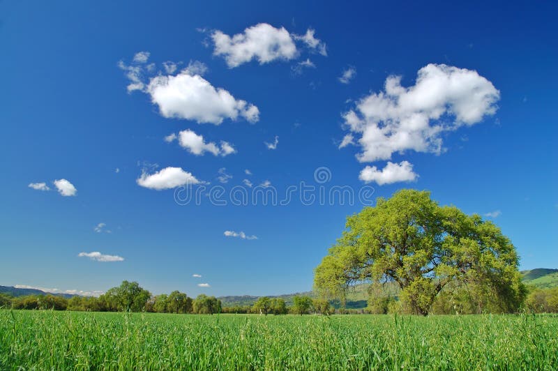 Rural countryside