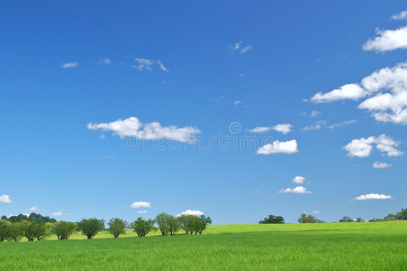 Rural countryside