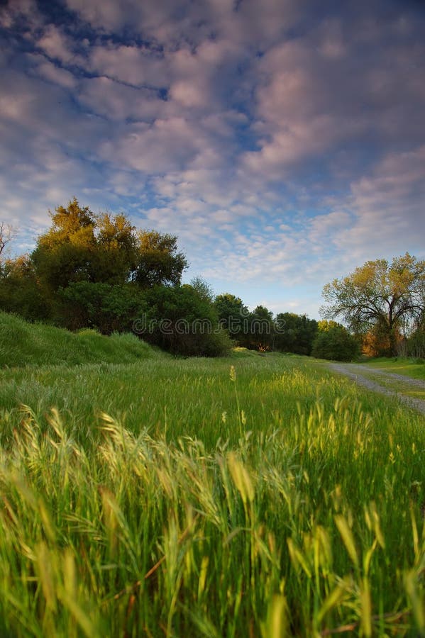 Rural countryside