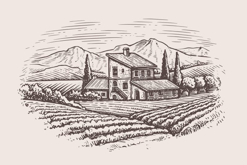 Rural countryside landscape with farm house and vineyard. Vector illustration landscape nature with agrarian fields