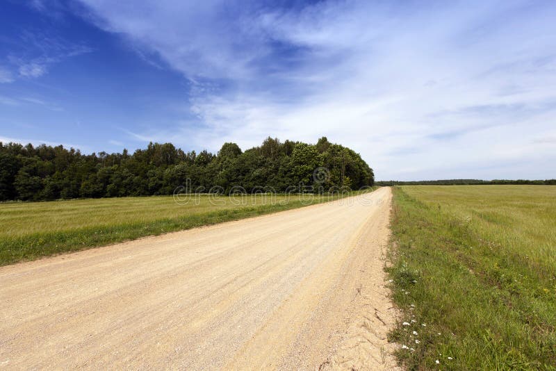 Rural Dirt road