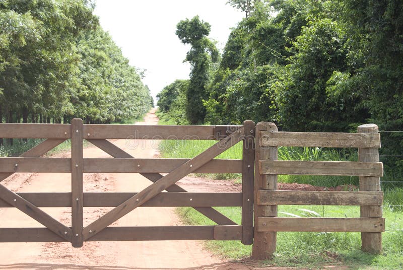 Farm gates stock image. Image of paddock, meadow, gate 24813191