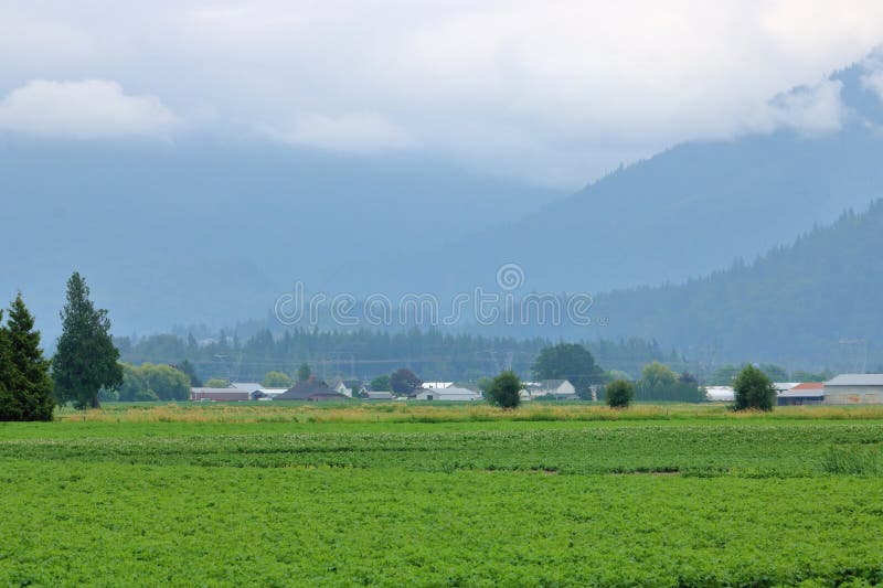 Rural Haze and Extreme Heat Conditions