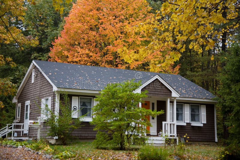 Rural House in Foliage