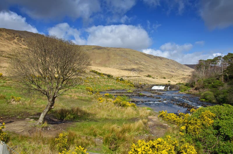 Rural irish Photography Landscape from Ireland