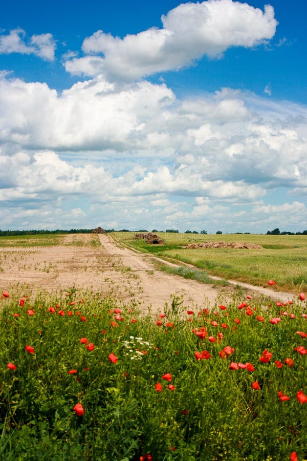 Rural landscape