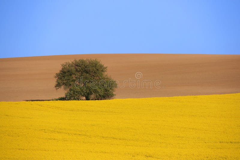 Vidiecka krajina